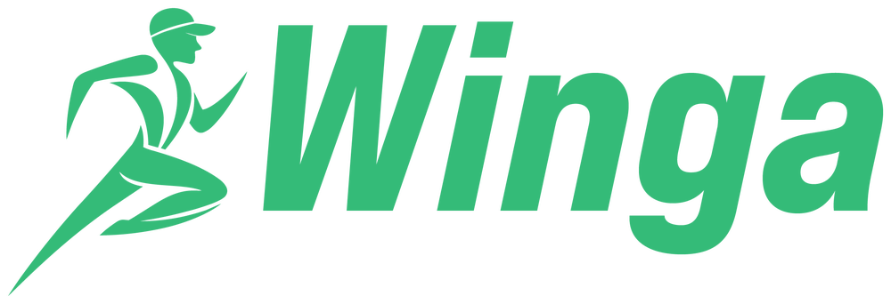 Winga — AI WhatsApp Assistant